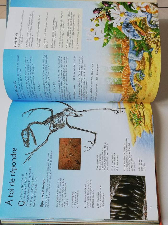 le grand livre des dinosaures - photo numéro 8