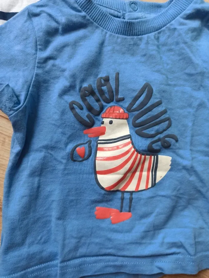 Lot de 2 t-shirt - photo numéro 2