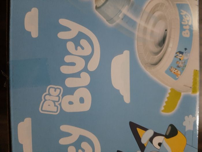 Jeu Pic Bluey - photo numéro 2
