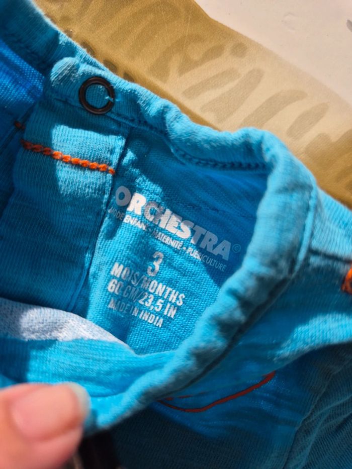 Tee-shirt - photo numéro 3