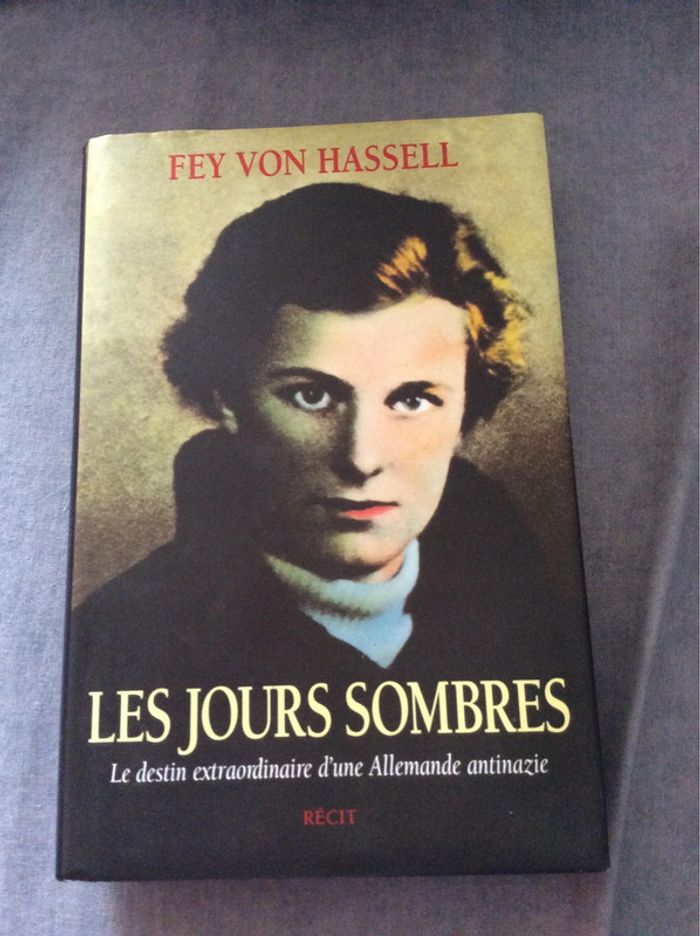 #les jours sombres Fey Von Hassel. V