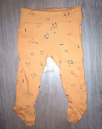 Legging à pieds chiens 9 mois Kiabi