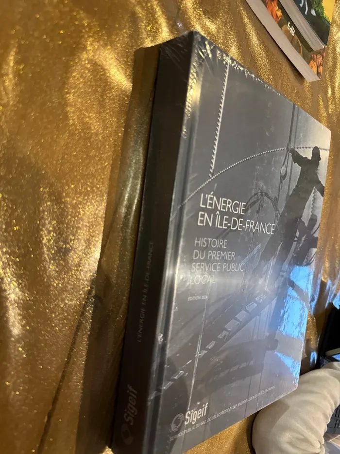 Livre énergie en Île-de-France, histoire du premier service public, local, édition, 2024 - photo numéro 2
