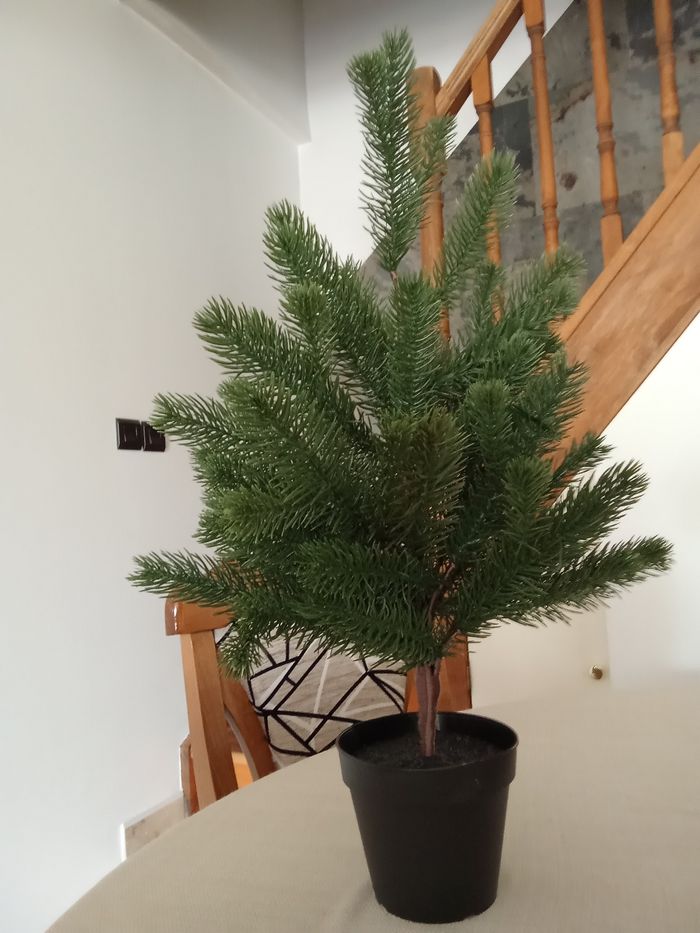 Sapin plastique