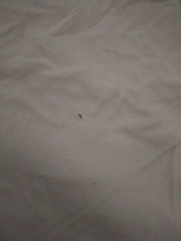 T-shirt de marque Gémo - photo numéro 3