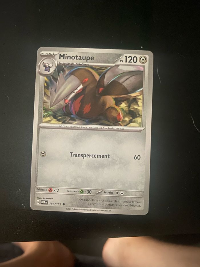 Minotaupe