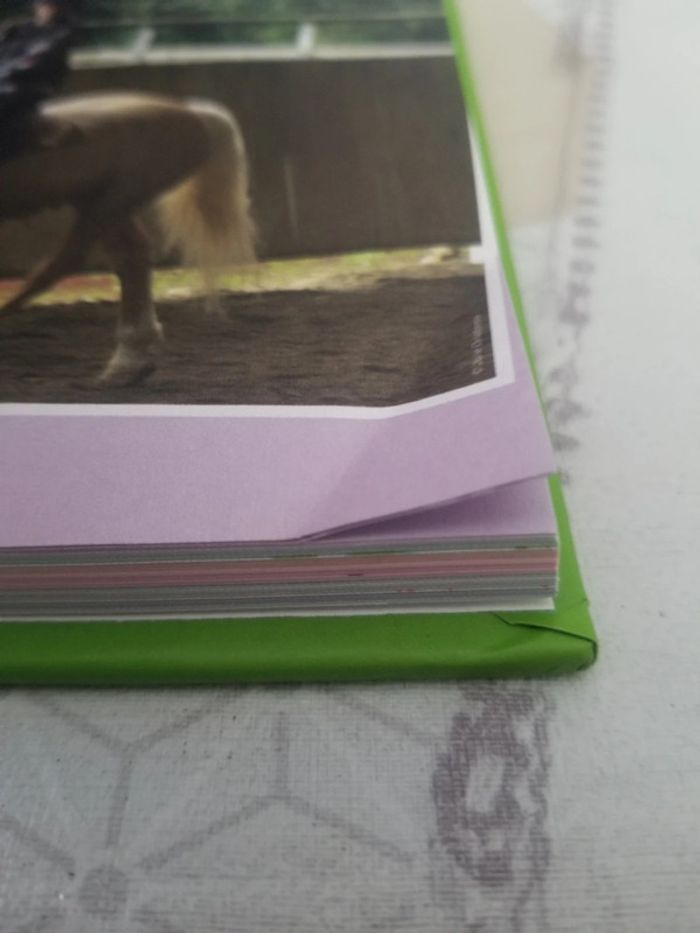 Encyclopédie des chevaux. - photo numéro 6