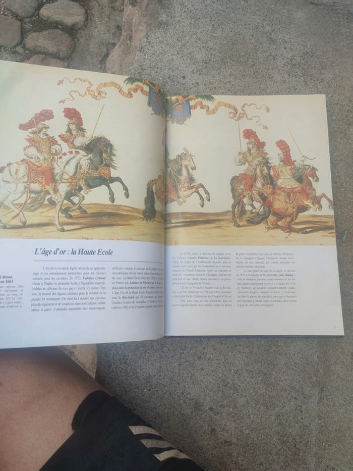 Livre la splendeurs du cheval - photo numéro 16