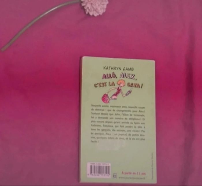 Allo Alex c’est la cata - photo numéro 2