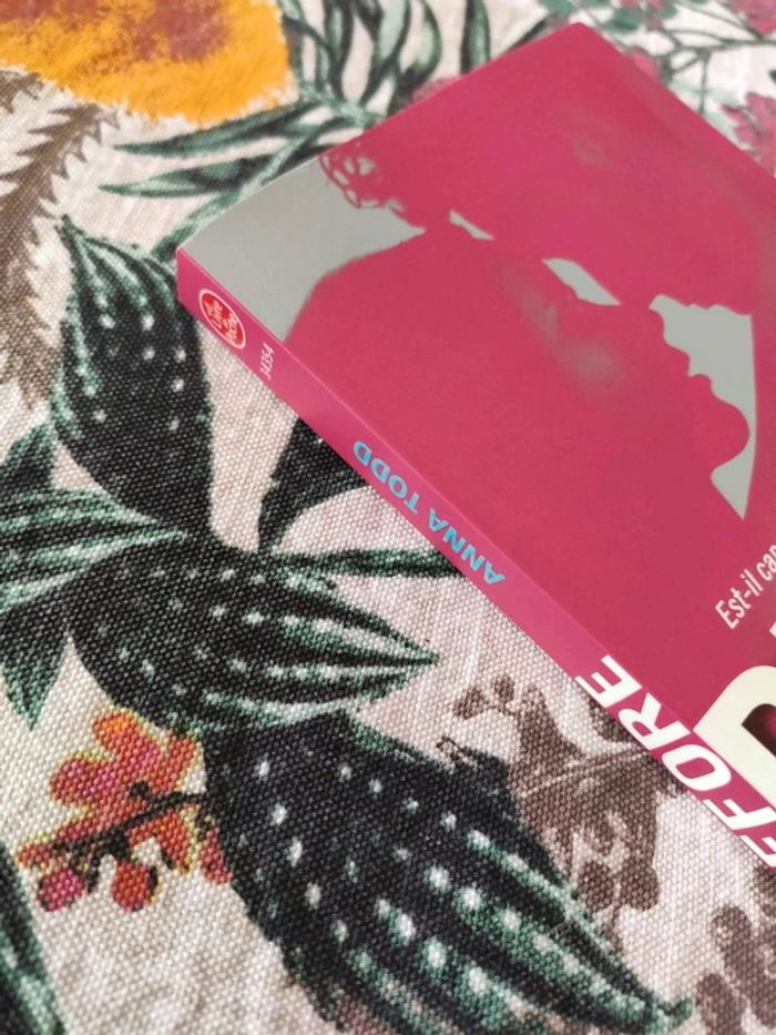 Before, la suite de after - photo numéro 4