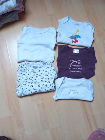 Lot 5 bodies ml