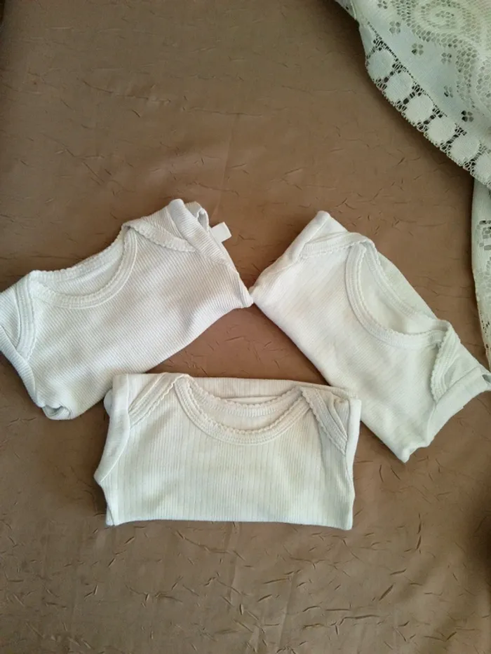 Lot bodies