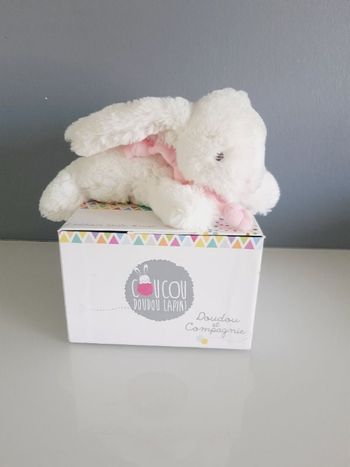 Coucou Lapin de Doudou et Compagnie