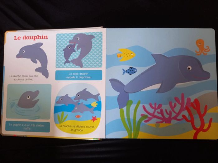 Livre sur les animaux de la mer - photo numéro 3