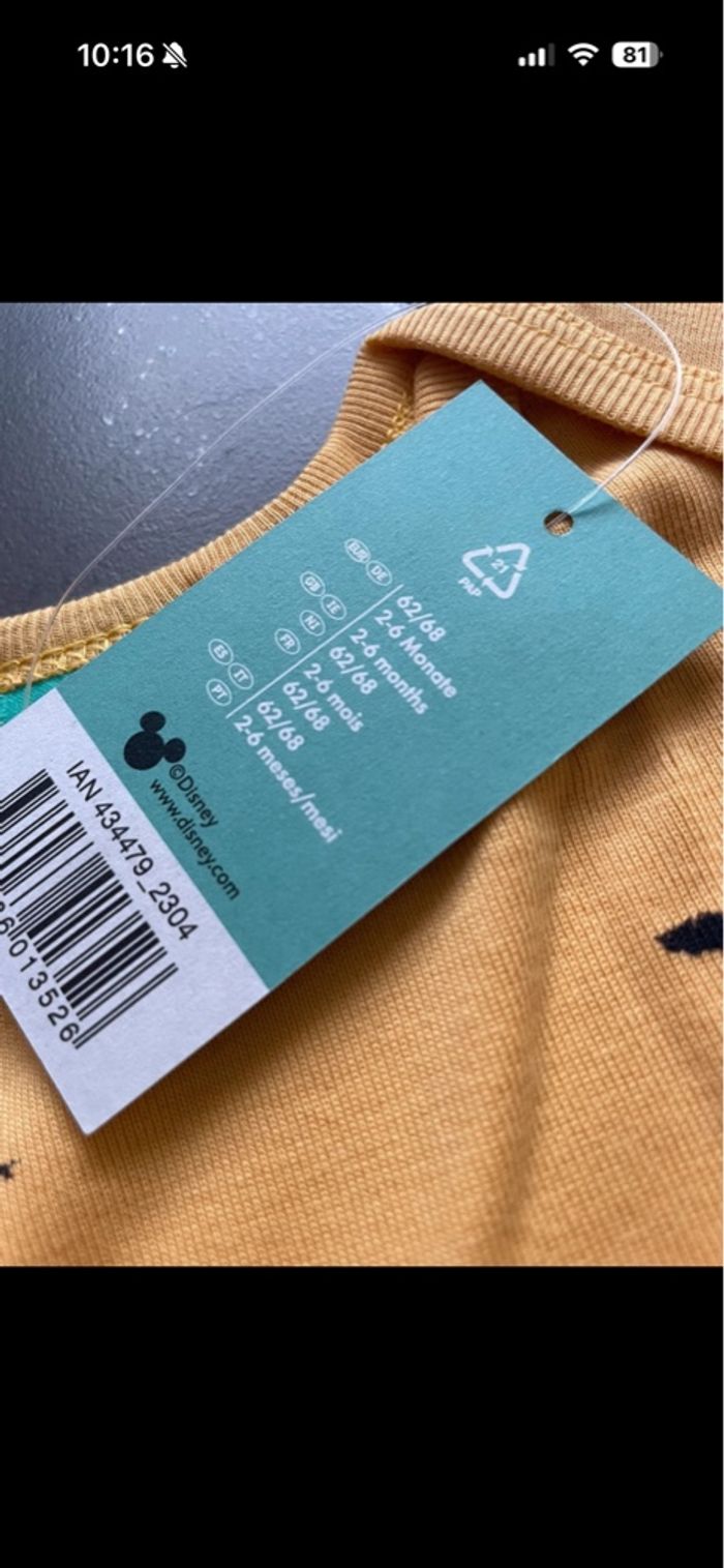 Bodys - photo numéro 2