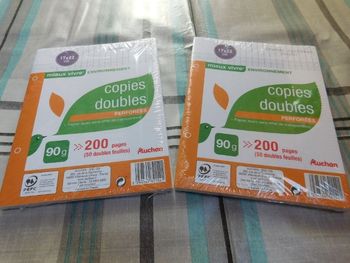 Copies Doubles 2x200 pages