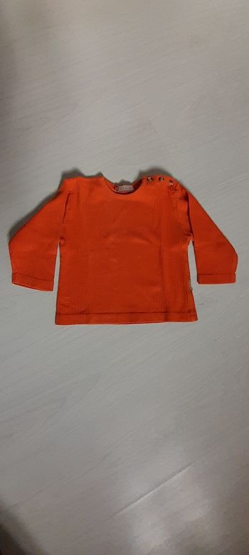 Tee-shir manches longues T 24 mois