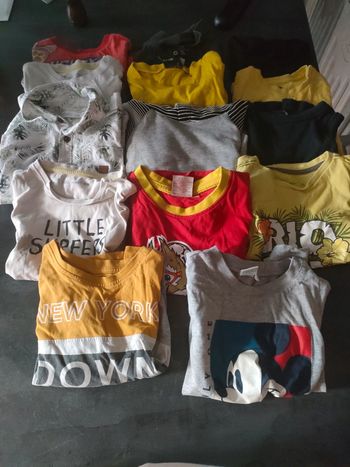 Lots t short 36 mois / 3 ans