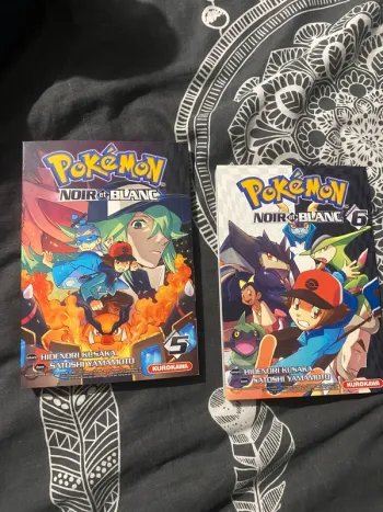 Lot de 2 livres Pokémon