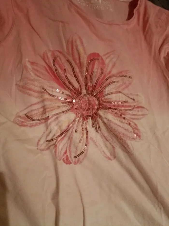 Tee shirt 12 ans in extenso - photo numéro 2