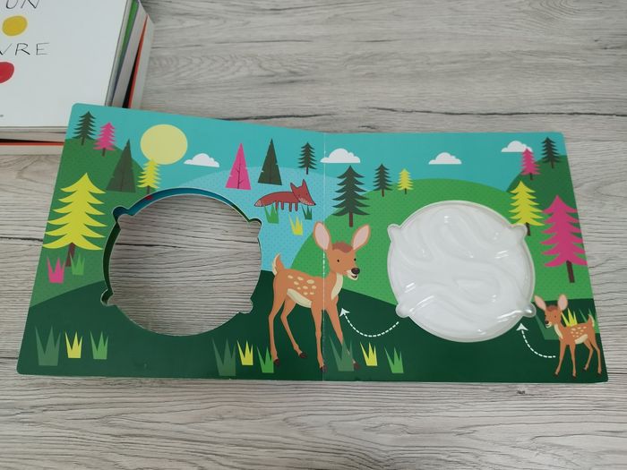 Livre labyrinthe - photo numéro 3