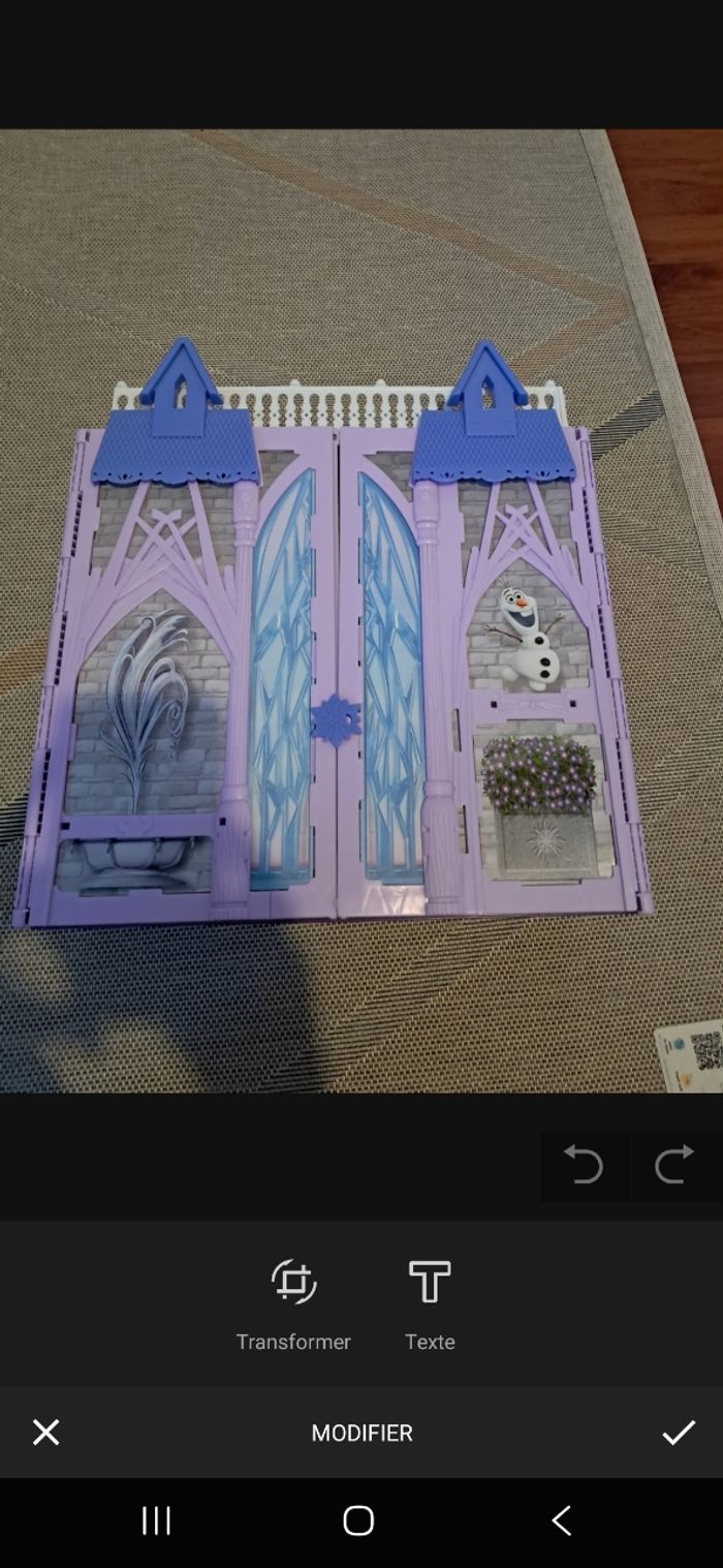 Chateau reine des neige - photo numéro 2