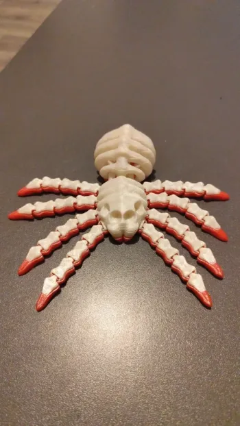 Araignée d'halloween