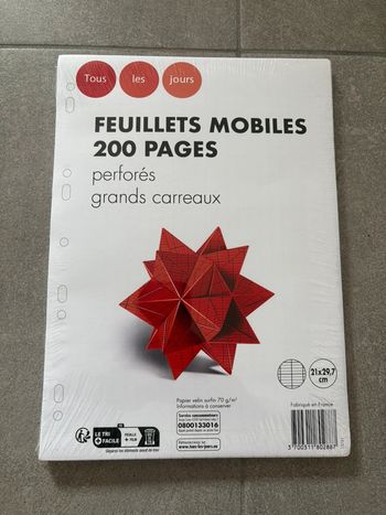 Paquet neuf de 200 feuilles 21X29,7 grands carreaux