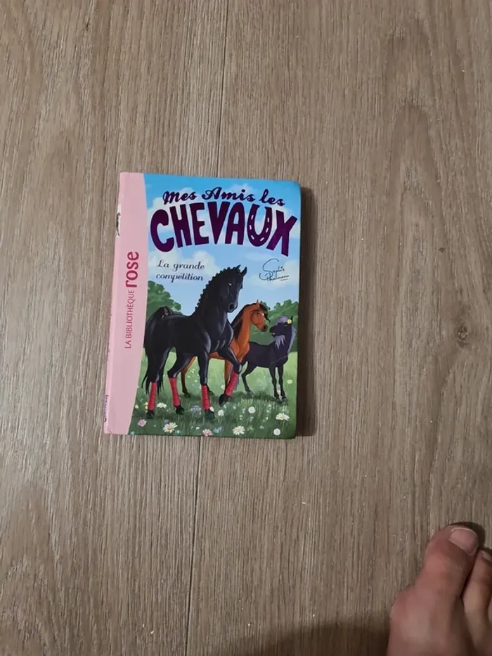 Mes amis les chevaux la grande compétition