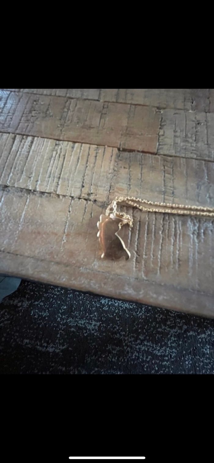 Collier chat - photo numéro 5