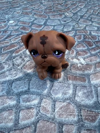 Petshop chien 🐱🐶 Vintage collectors