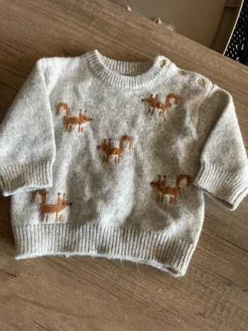 Pull renards