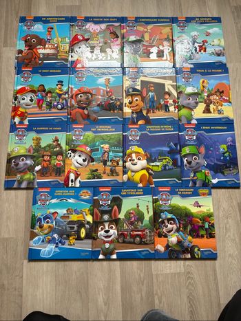 Lot de 15 livres Pat patrouille