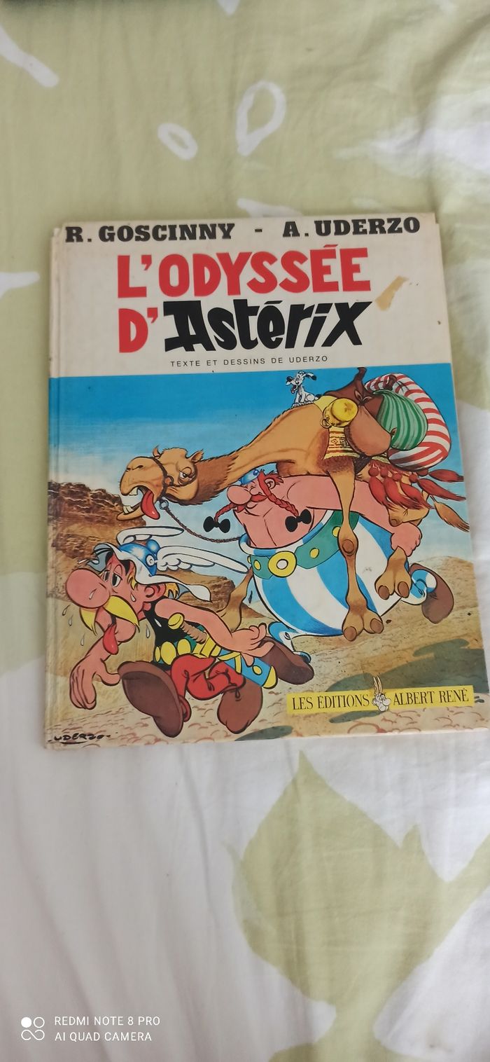 Livre l odyssee d asterix