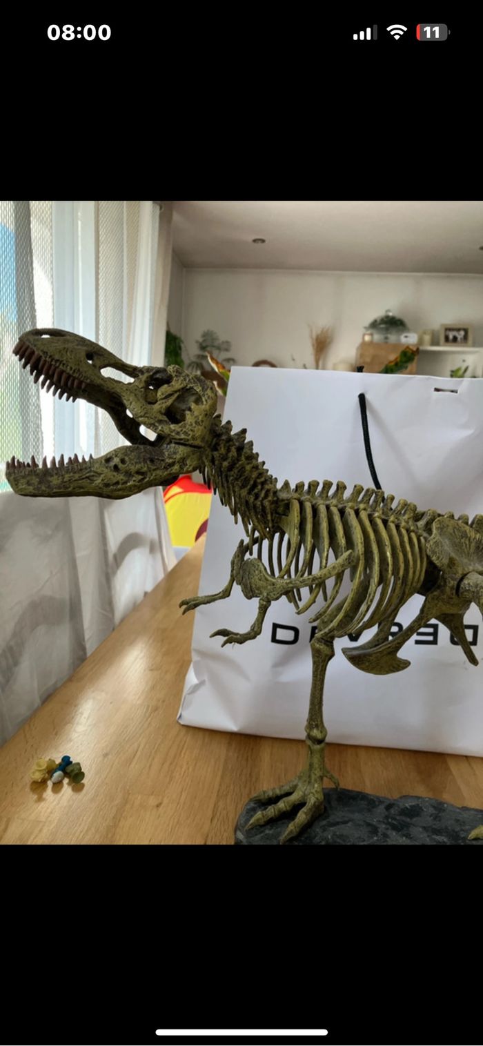 Squelette tyrannosaurus Rex - photo numéro 2