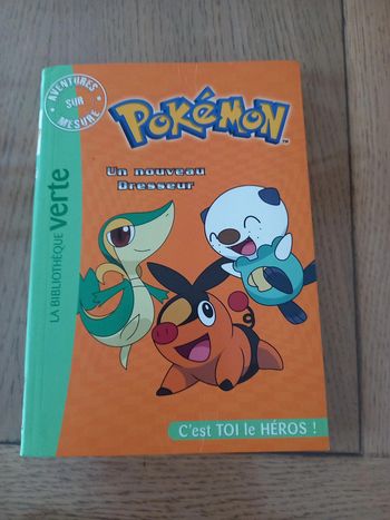 Pokemon un nouveau dresseur