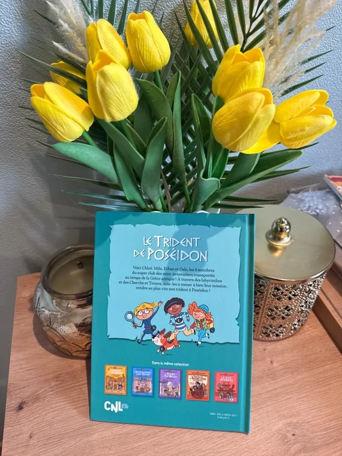 Livre Mac do le trident de poseidon - photo numéro 2