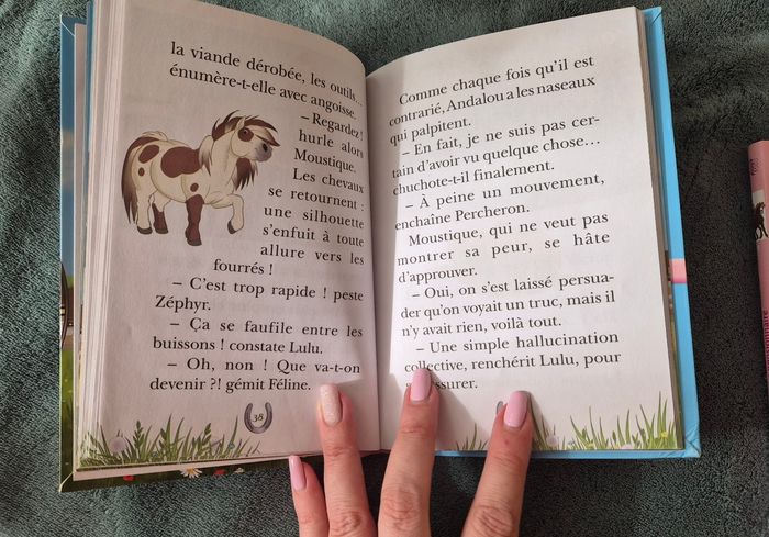 Mes amis les chevaux - photo numéro 5