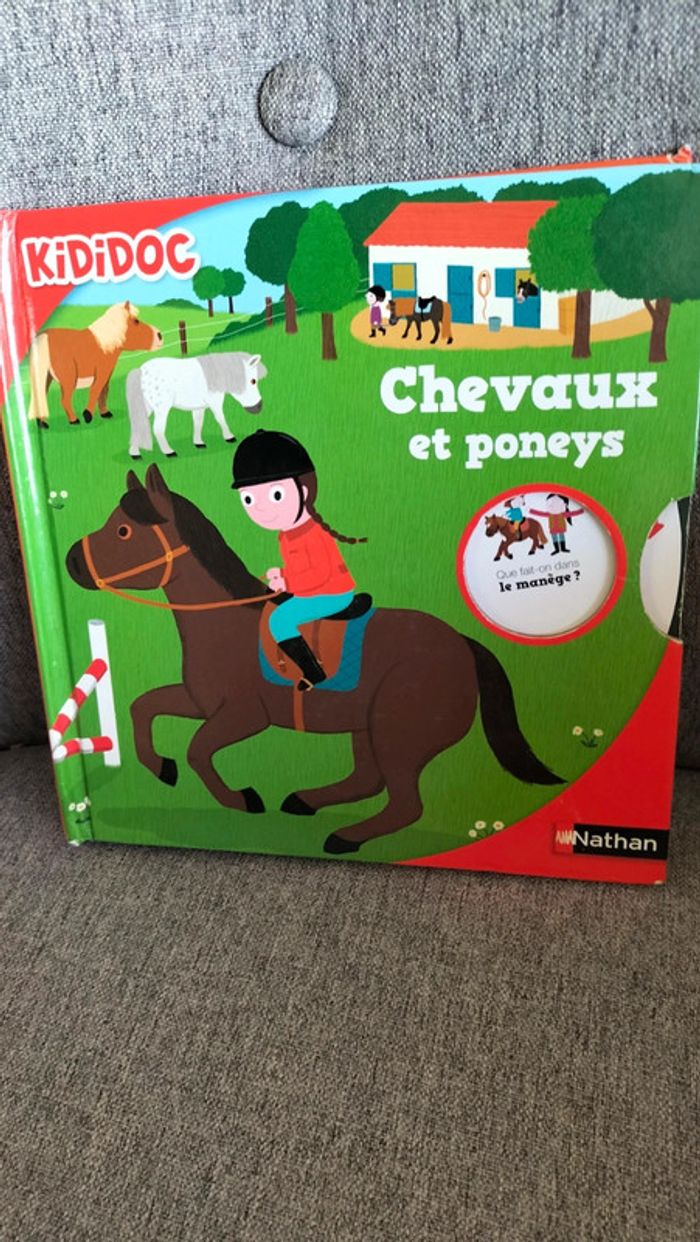 Kididoc( les dinosaures,chevaux et poneys,les animaux de la savane) - photo numéro 4