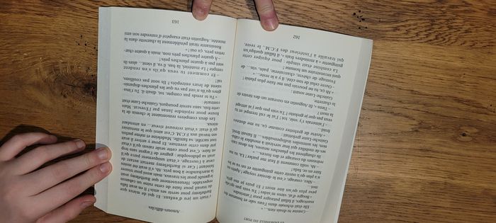 La Demoiselle du Port - photo numéro 4