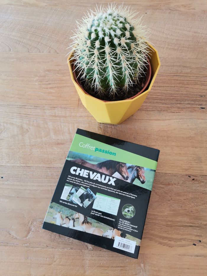 Coffret passion chevaux - photo numéro 3