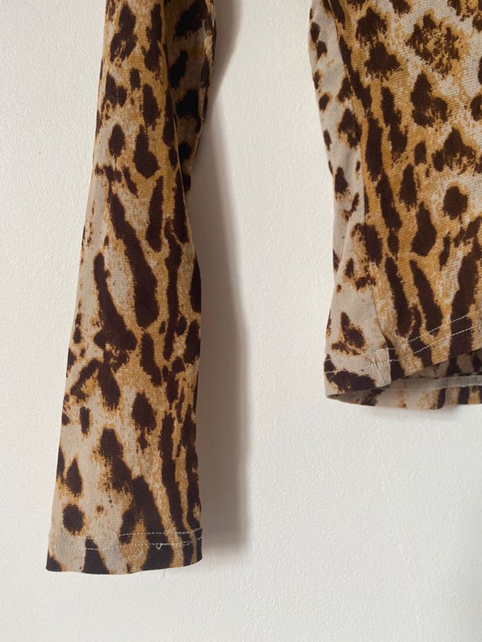 Morgan leopard - photo numéro 5