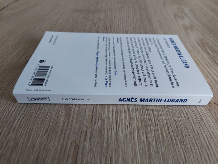 Livre "La déraison" Agnès Martin-Lugand Pocket - photo numéro 3
