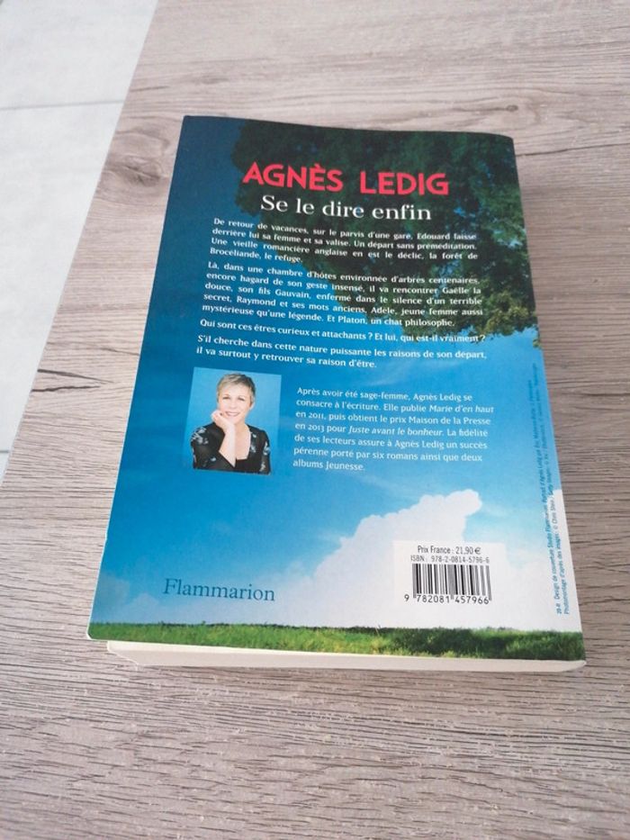 Se le dire enfin - photo numéro 2