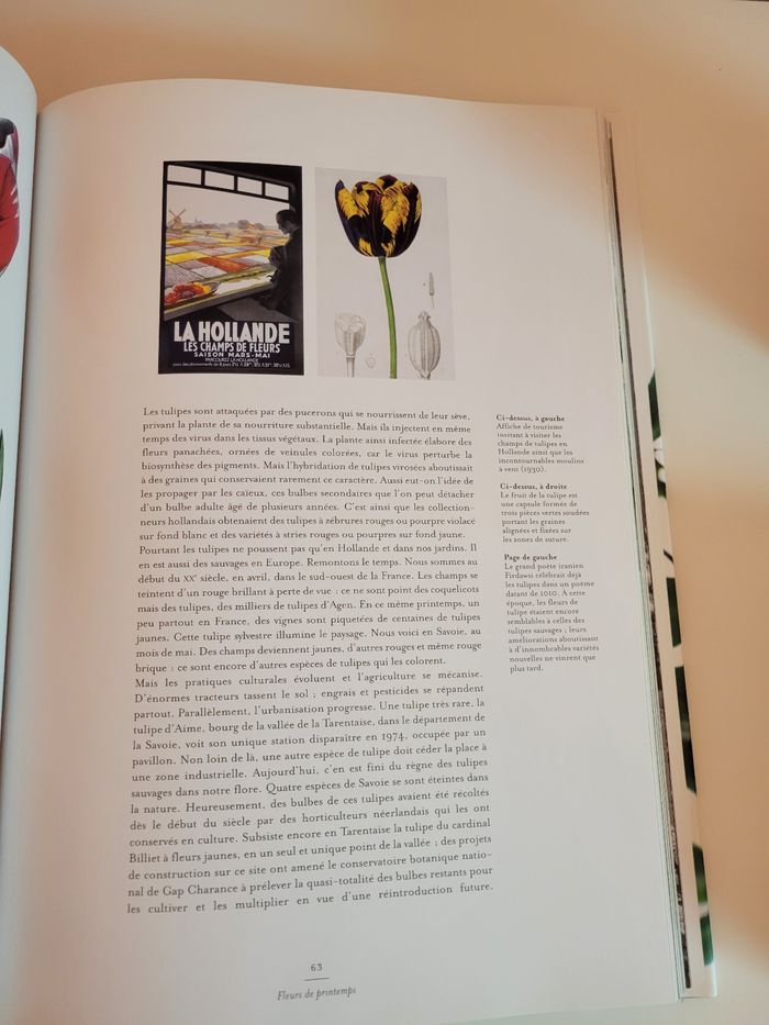 Livre sur les fleurs - photo numéro 3
