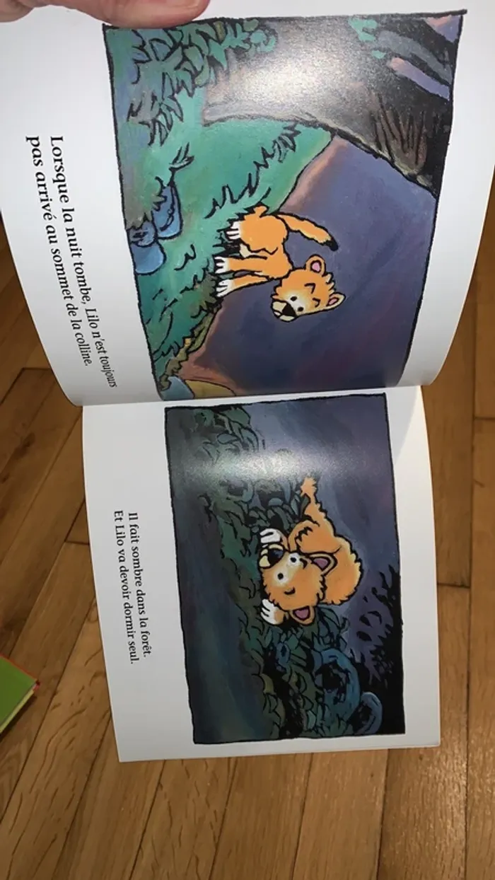 Livre enfant derrière la colline - photo numéro 4