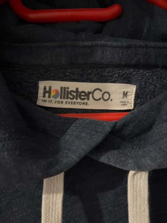 Sweat Hollister - photo numéro 2