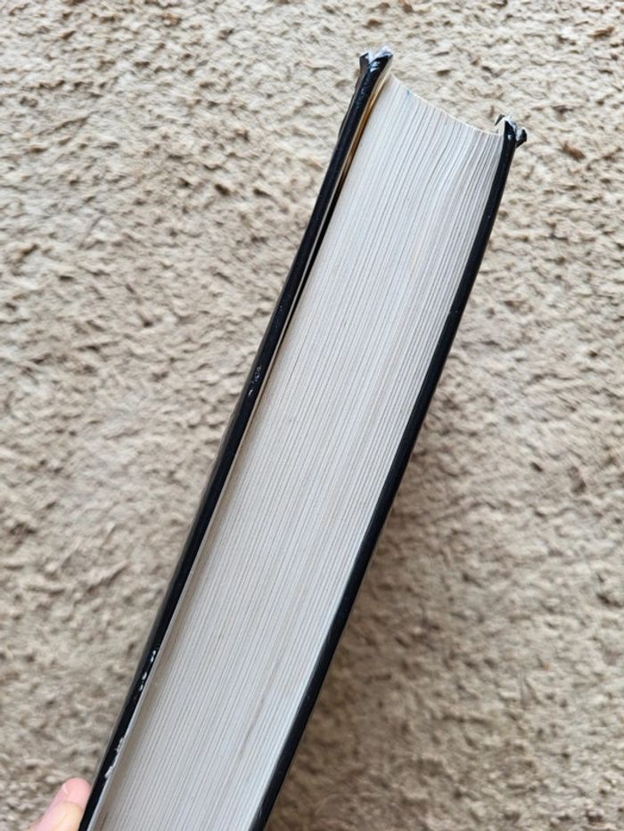 Livre Sépulture de Stephen Dobyns – Thriller psychologique - photo numéro 3