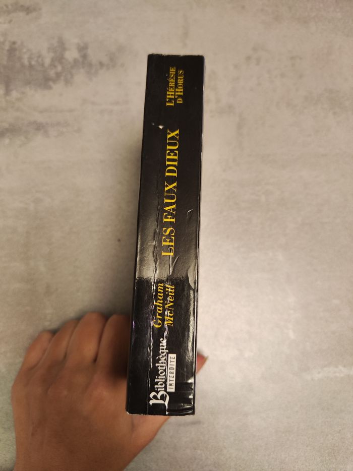 Livre les Faux Dieux - photo numéro 3