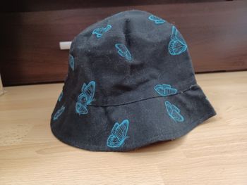 Bob papillon